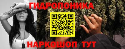 ECSTASY Балаково
