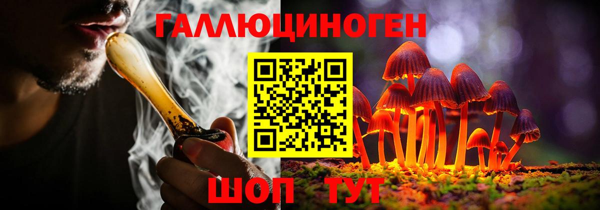 Елабуга  Галлюциногенные грибы Cubensis  Вход с VPN 